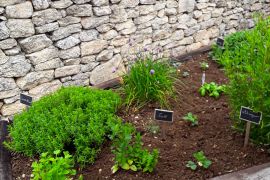 Le jardin aromatique